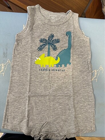 Carters tulum
