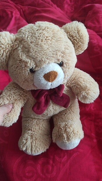 Peluş oyuncak ayı 