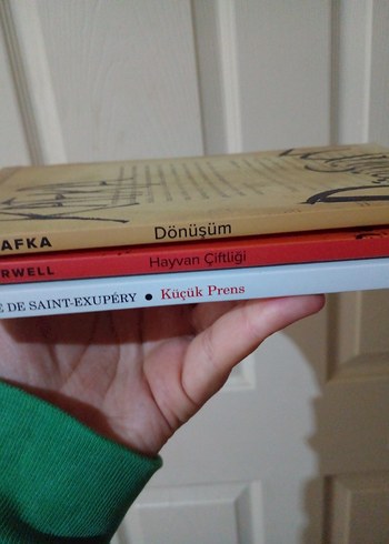 Klasik Çocuk Romanları - Görsel 2