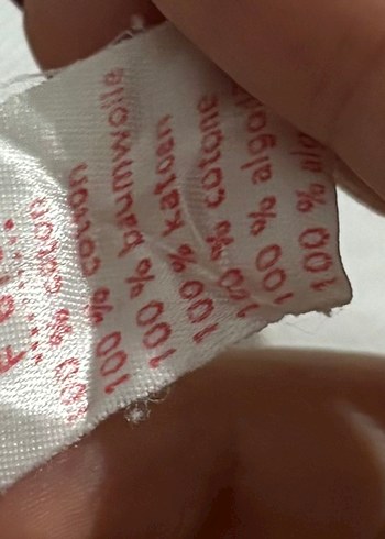 Lacoste Tişört - Görsel 5