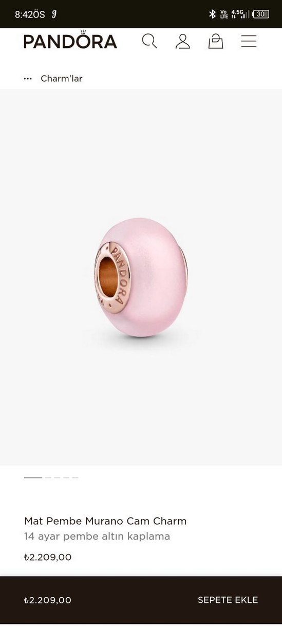 Pandora Bileklik charmlarıyla - Görsel 3