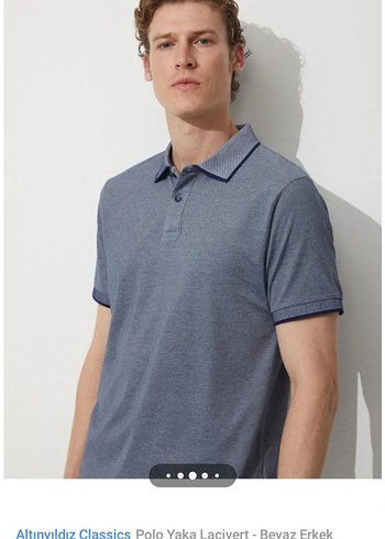 Altınyıldız Classics Gri Polo Yaka Kısa Kollu Tişört - Görsel 7