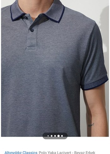 Altınyıldız Classics Gri Polo Yaka Kısa Kollu Tişört - Görsel 5