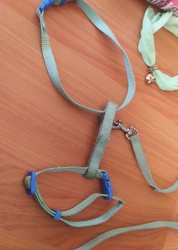 Çok Renkli Kedi Aksesuar Seti - Görsel 12