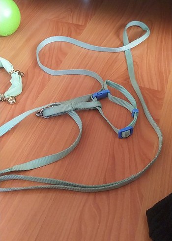 Çok Renkli Kedi Aksesuar Seti - Görsel 11