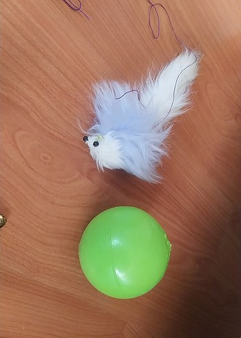 Çok Renkli Kedi Aksesuar Seti - Görsel 10