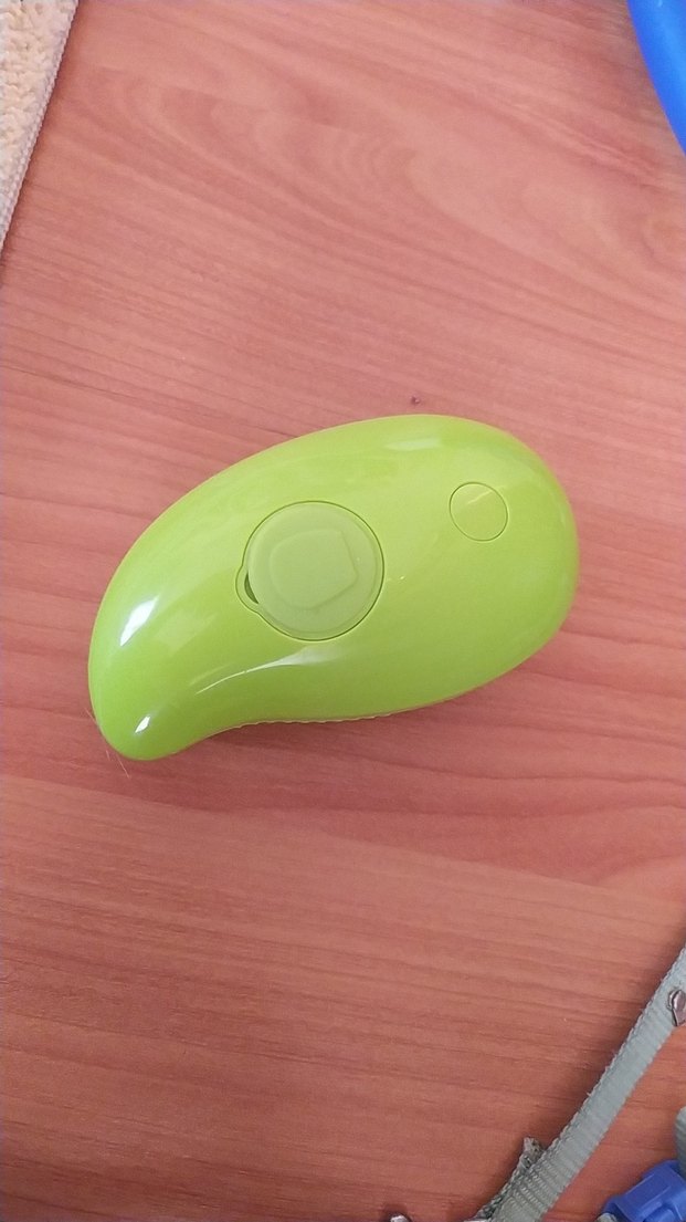 Çok Renkli Kedi Aksesuar Seti - Görsel 5