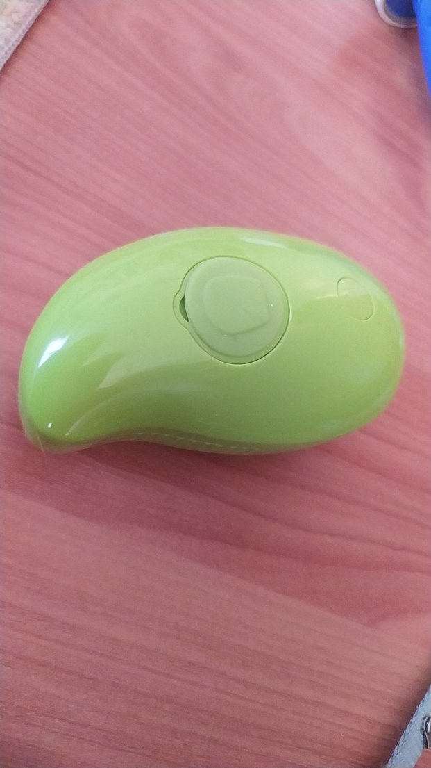 Çok Renkli Kedi Aksesuar Seti - Görsel 4