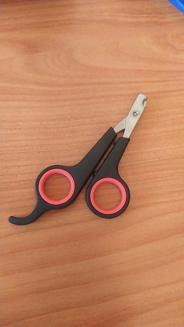 Çok Renkli Kedi Aksesuar Seti - Görsel 3