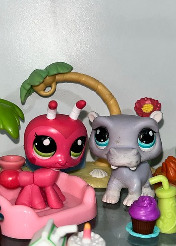 Lps Miniş - Görsel 2