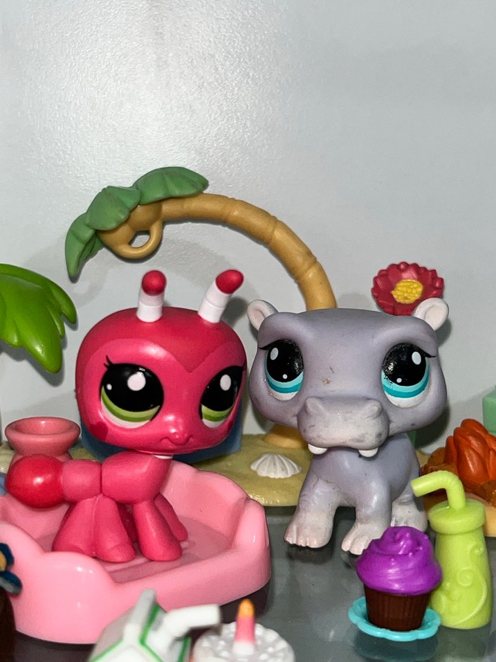 Lps Miniş - Görsel 2