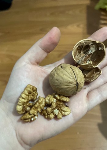 taze çeviz 1 kilo - Görsel 4