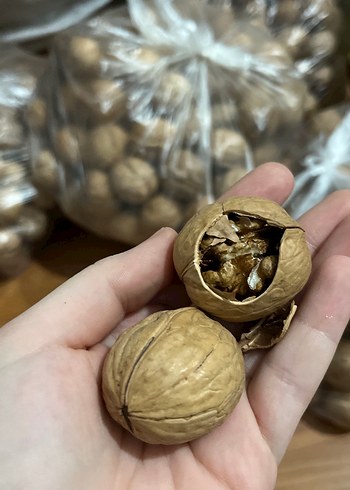 taze çeviz 1 kilo - Görsel 3