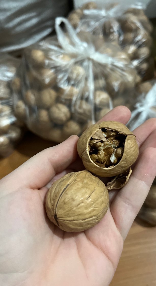 taze çeviz 1 kilo - Görsel 3