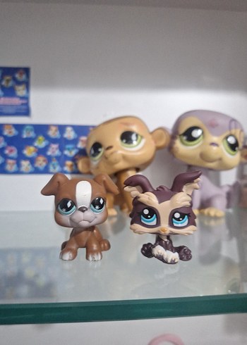 lps köpek minişler