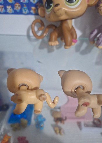 LPS Minişler short hair lps minişler