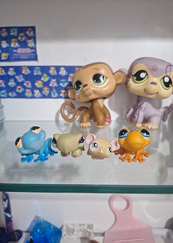 lps miniş