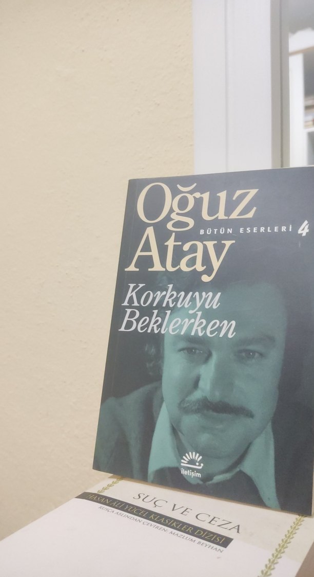 Dokuzuncu Hariciye Koğuşu - Peyami Safa - Görsel 2