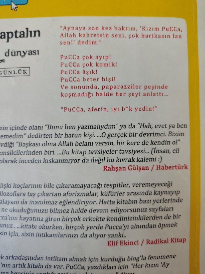 Pucca Günlük - Küçük Aptalın Büyük Dünyası - Görsel 3