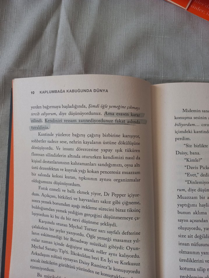 Kaplumbağa Kabugunda Dünya - John Green - Görsel 4