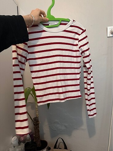 Stradivarius crop
