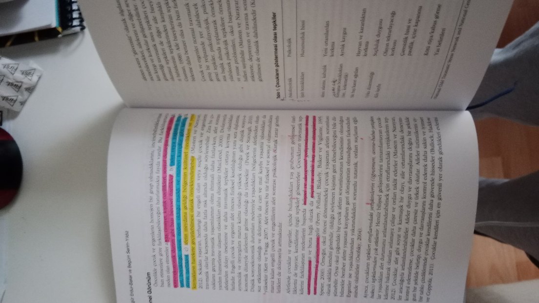 Afetler krizler travmalar ve psikolojik yardım - Görsel 3