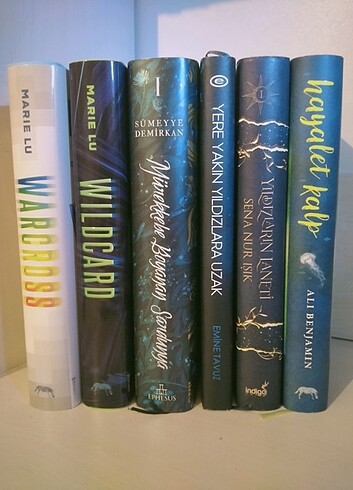 6 Kitap