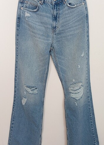 Kot jean