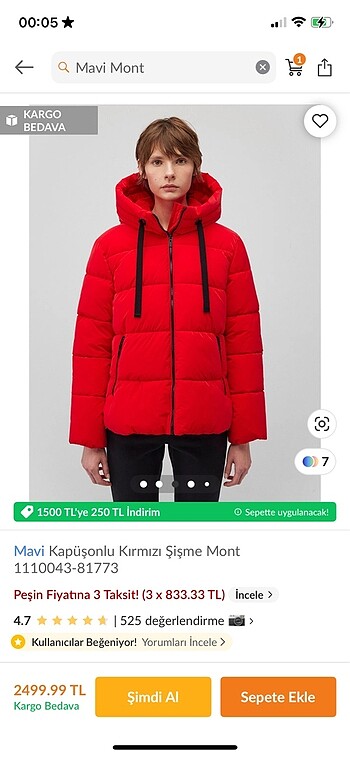 Zara Mont palto