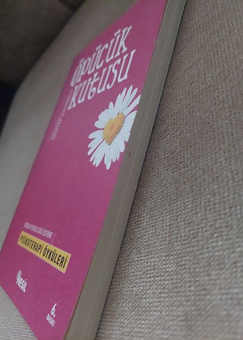 Öpücük Kutusu - Psikoterapi Öyküleri Kitabı