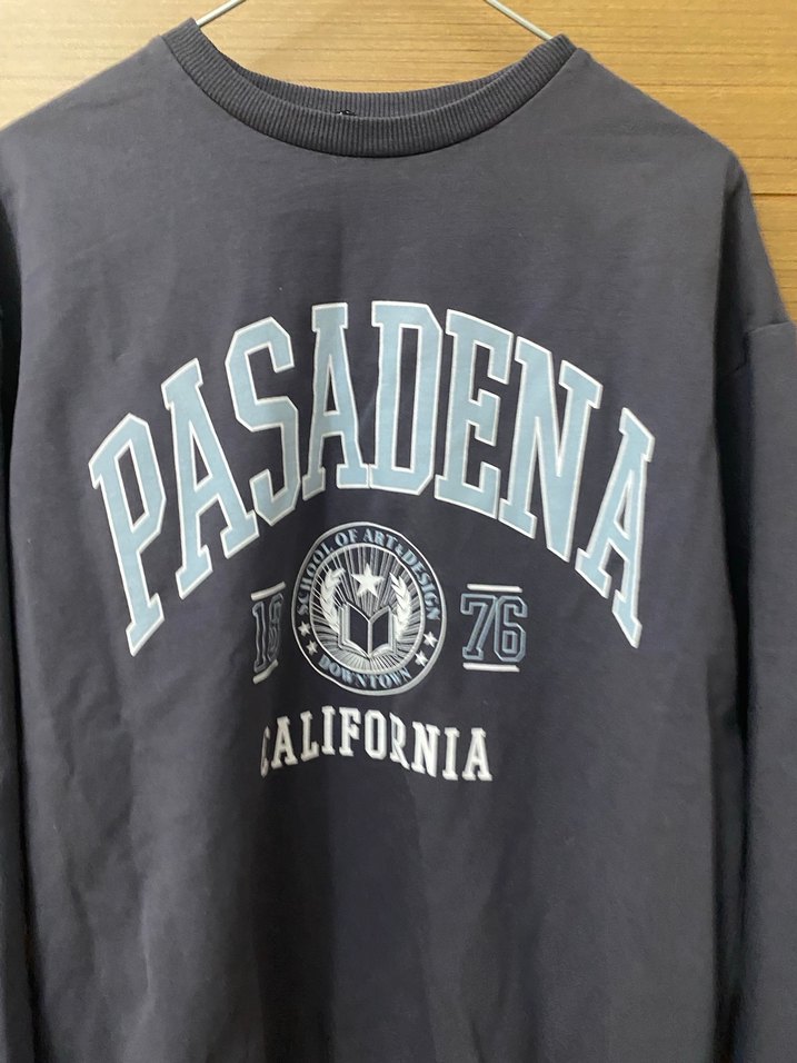 Mavi Baskılı Kadın Sweatshirt - Görsel 2