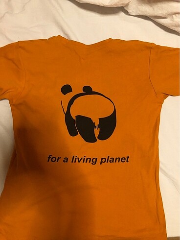 American Apparel wwf tshirt