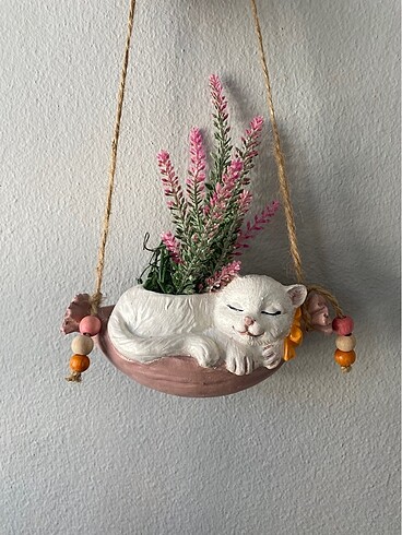 Diğer Hamakta yatan kedi Sukulent saksı