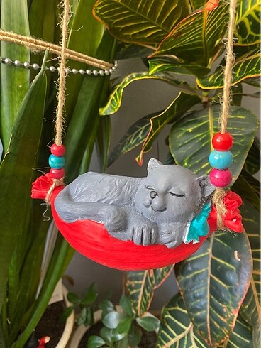  Beden Hamakta yatan kedi Sukulent saksı