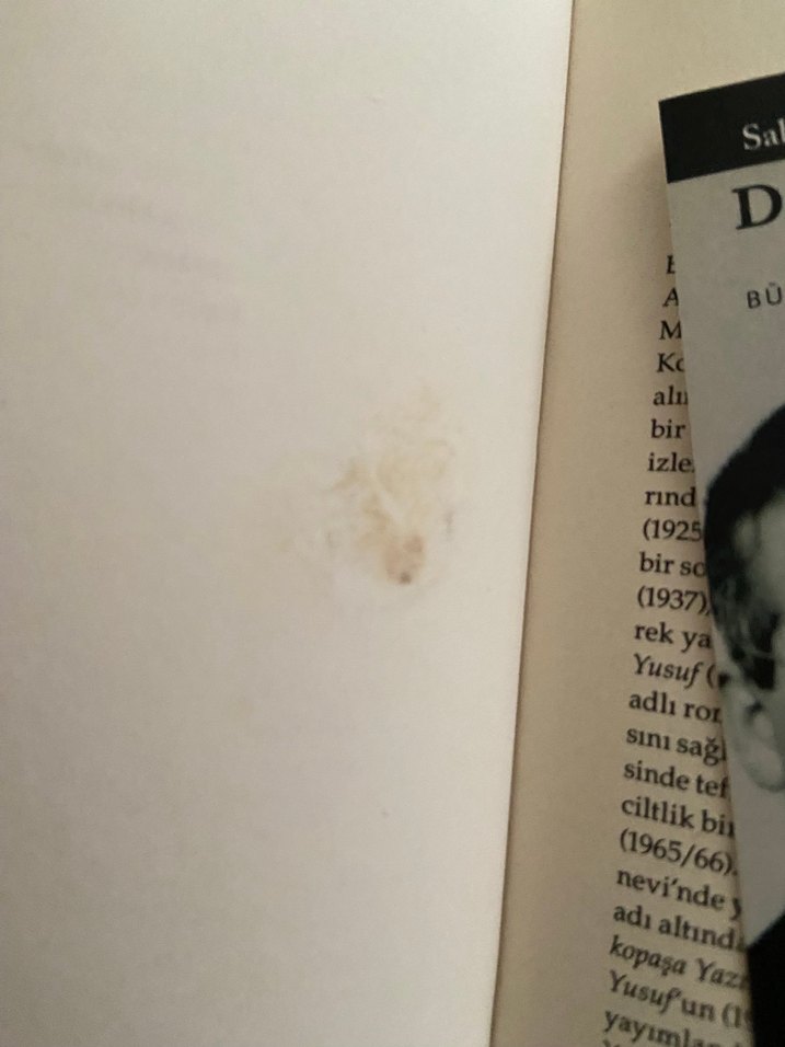 Sabahattin Ali - Değirmen & Sırça Köşk Seti - Görsel 3