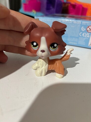 LPS MİNİŞ