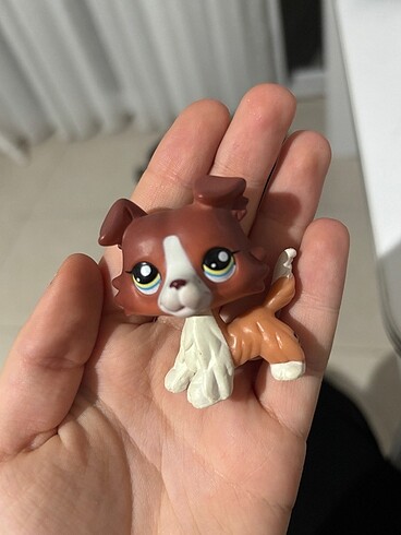  LPS MİNİŞ