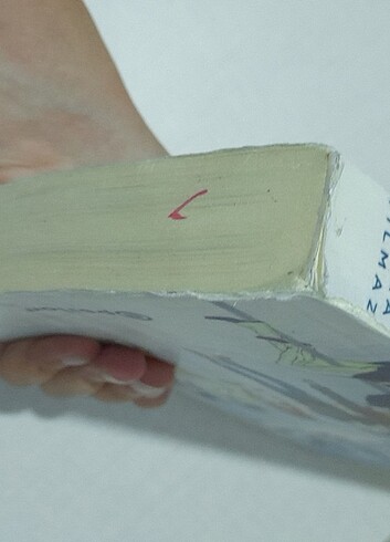 4n1k 1 ve 4n1k 2. Kitap  - Görsel 6