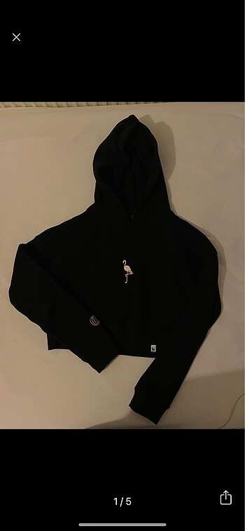 WWF CROP HOODIE