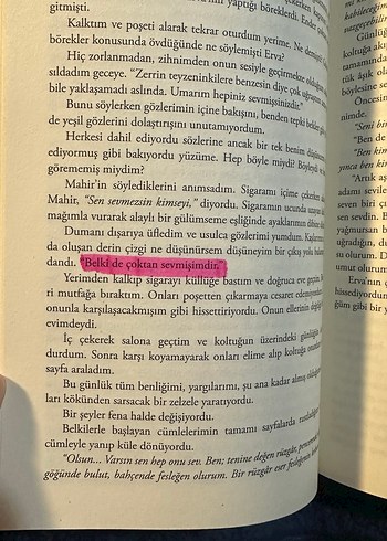 Saklı Lal Figan 1 Romanı - Görsel 3