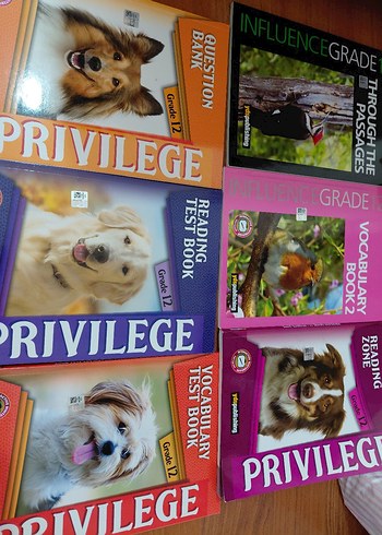 6 lı ydspublishing kitap seti
