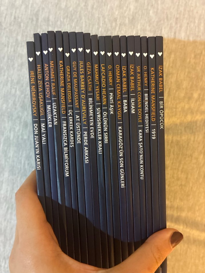 Çeşitli Klasik Kitaplar Seti - Görsel 2