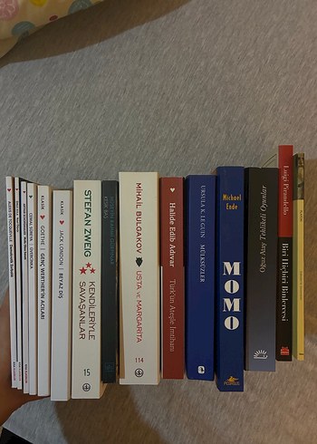 Çeşitli Roman ve Edebiyat Kitapları Seti - Görsel 2