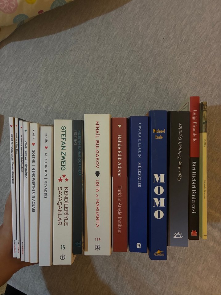 Çeşitli Roman ve Edebiyat Kitapları Seti - Görsel 2