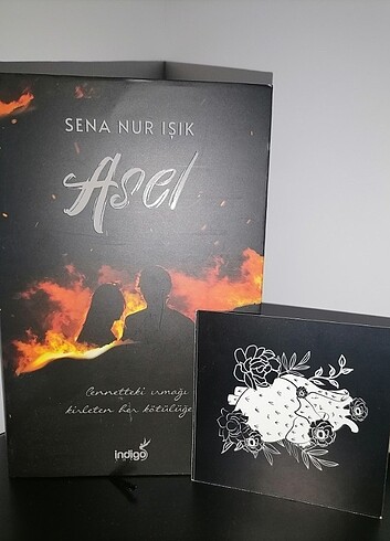 Asel- Sena Nur Işık