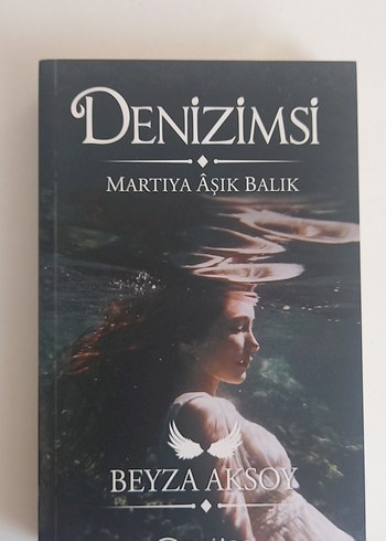 Denizimsi Beyza Aksoy