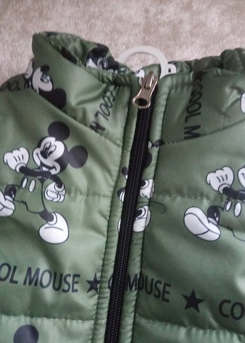 Kapüşonlu, Fermuarlı Erkek Çocuk Yeşil Yelek - Görsel 4