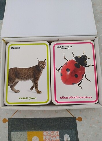 Fisher Price Eğitici kartlar