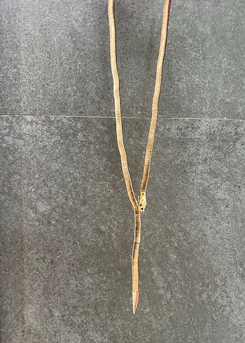 Uzun Zincir Detaylı Yılan Desenli Kadın Kolye - Görsel 2