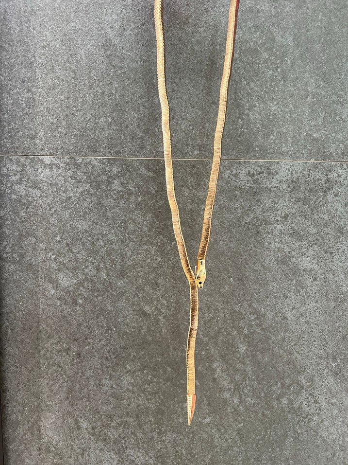 Uzun Zincir Detaylı Yılan Desenli Kadın Kolye - Görsel 2